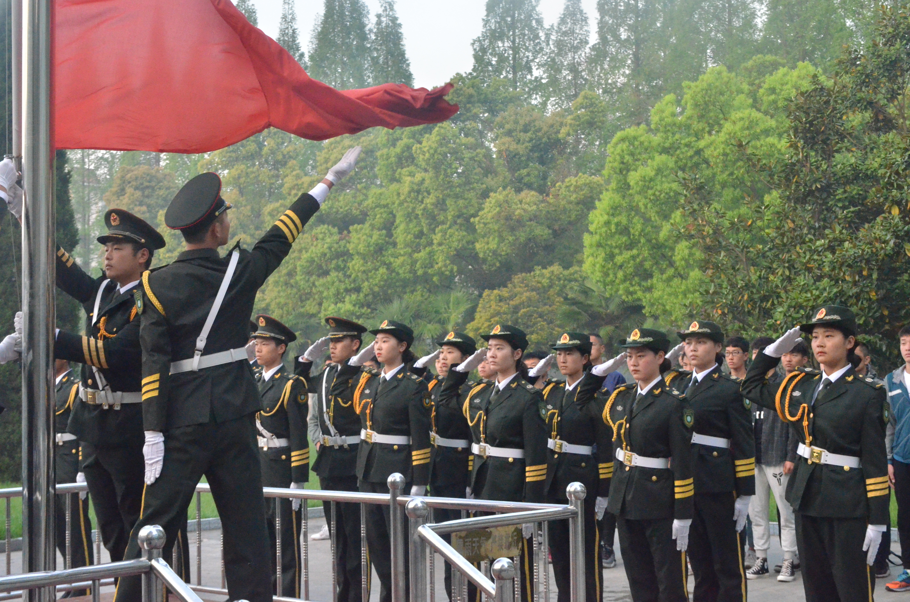 DSC_5249.JPG DSC_5249.JPG